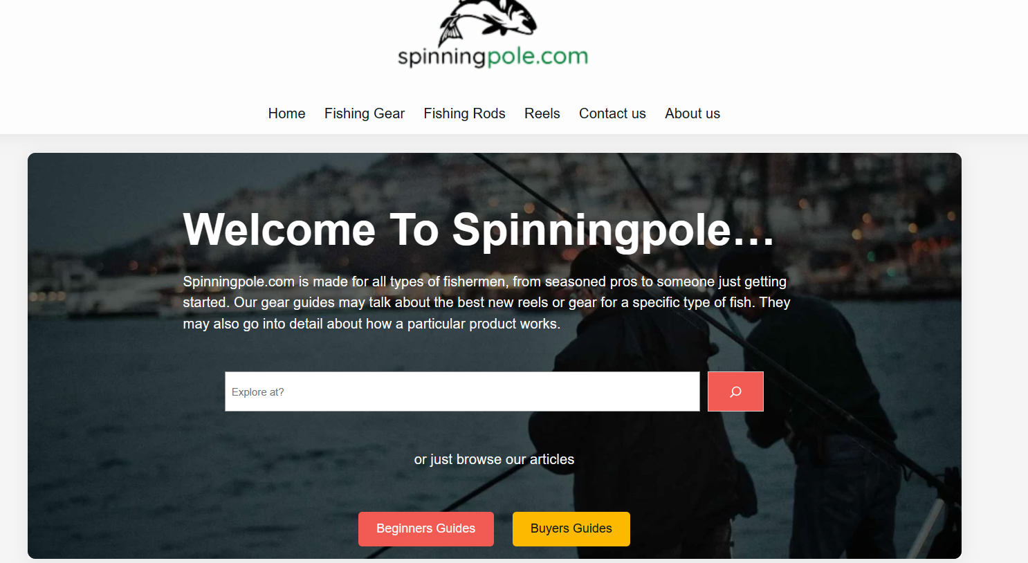 Blog Website (spinningpole.com)